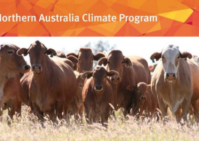 Northern Australia Climate Program: Climate Mate Program