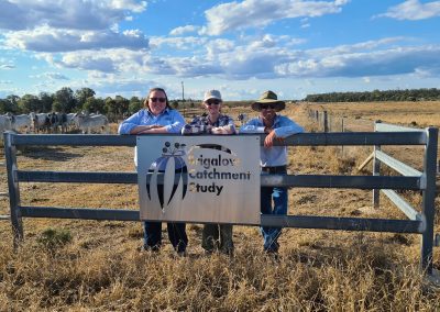 Brigalow Catchment Study: Monitoring Fitzroy Grazing Management Practices