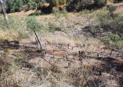 Erosion Control, Water testing and Ecosystem Restoration in the Fitzroy River Basin