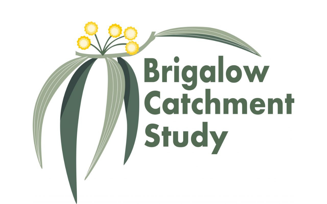 BrigalowCatchmentStudy-Logo